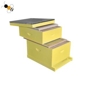 Cheap 20mm Thickness Fir Painted Yellow Langstroth Bee Hive for sale