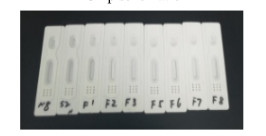 Rapid Test COVID-19 Detection Kit RT-PCR Detection Kit With High Accuracy
