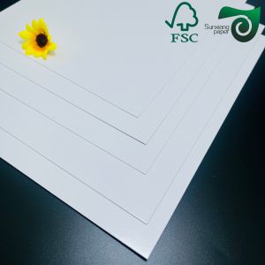 FSC Certified 270gsm C2S Glossy Art Board Double Sided White For Offset Printing