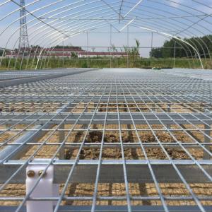 Cheap 1.7m 1.8m Welded Wire Mesh Steel Rolling Benches Table Seedbed For Vegetable Nursery Seedling In Greenhouse for sale