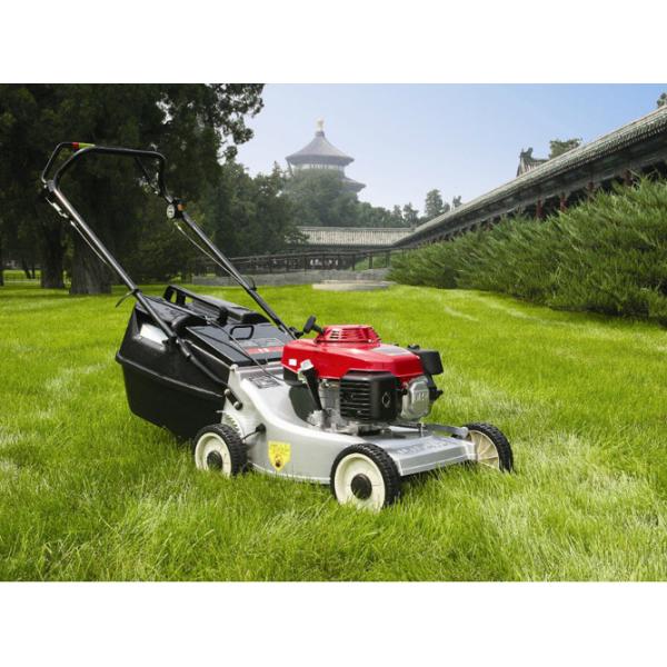 Quality 173cc Self Propelled Gasoline Lawn Mower , Grass Trimmer Gardening Machine wholesale