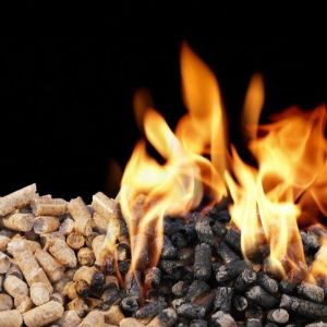 0.8cm Pine Wood Pellet Press Machine 2.6*1.3*2.3m Rice Husk Pellet Mill