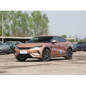 25 Song L 662km Surpassing Home Use Pure Electric Vehicle