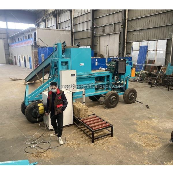 25kg Wheat Rice Husks Hulls Bagging Press Packing Machine for Packing Alfalfa