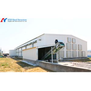 Prefab Steel Structure Poultry Farm Shed with Automated Feeding System