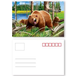 Vivid Plant Two Sides Printing 3D Lenticular Card Plant Introduction