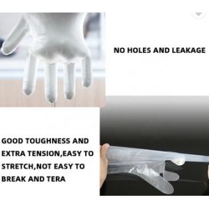 Transparent Disposable Safety Gloves Ldpe Custom For Kitchen Cleaning