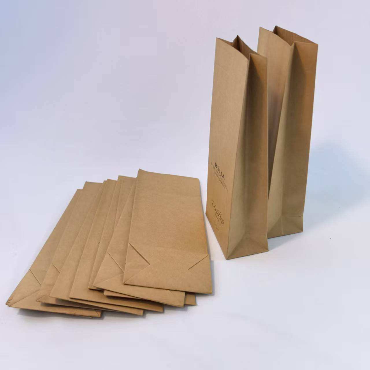 Shopping and Packaging Eco-friendly Kraft Paper Bag with PE Plastic Type