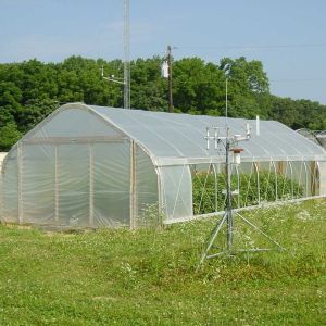 Galvanized Single Span Plastic Tunnel Greenhouse Customized Vegetable Growing