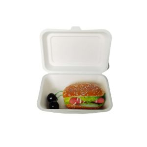 Eco Friendly Bagasse Clamshell Containers 271x182x45mm