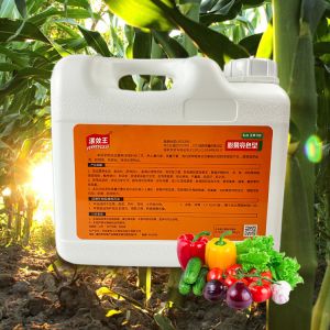 Blend NPK 20-20-20 Water Soluble Liquid Fertilizer Promoting Fruit Development