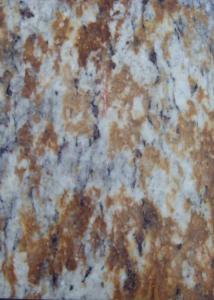 China Verniz Tropical Polished Large Granite Floor Tiles Sawn Flamed Acid Resistance on sale