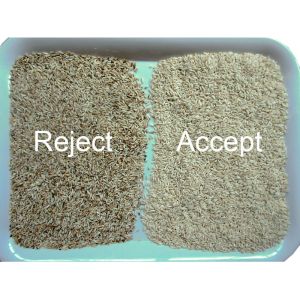 Optical Multifunctional CCD Rice Sorter High Precision