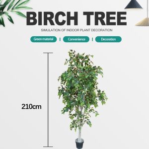 Besting Selling No Nursing Artificial White Birch Bonsai Evergreen With Real