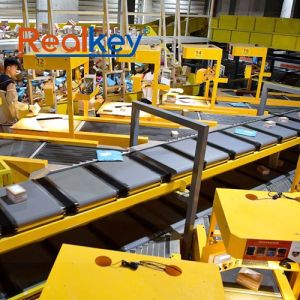 High Processing Capacity Crossbelt Sorter Dual Cart Linkage Efficient Logistics