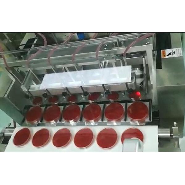 Automatic Petri Dish Filling Machine 4000BPH 90mm 55mm