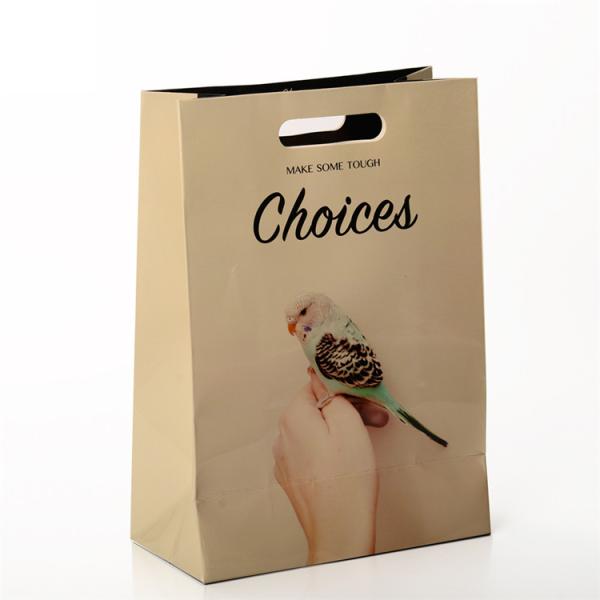 Quality Custom Printed Paper Bags Gift Packaging With Die Cut Patch Handle wholesale