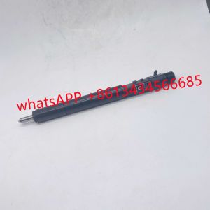 R03902D R04701D A6640170221 R03401D Delphi Diesel Fuel Injectors