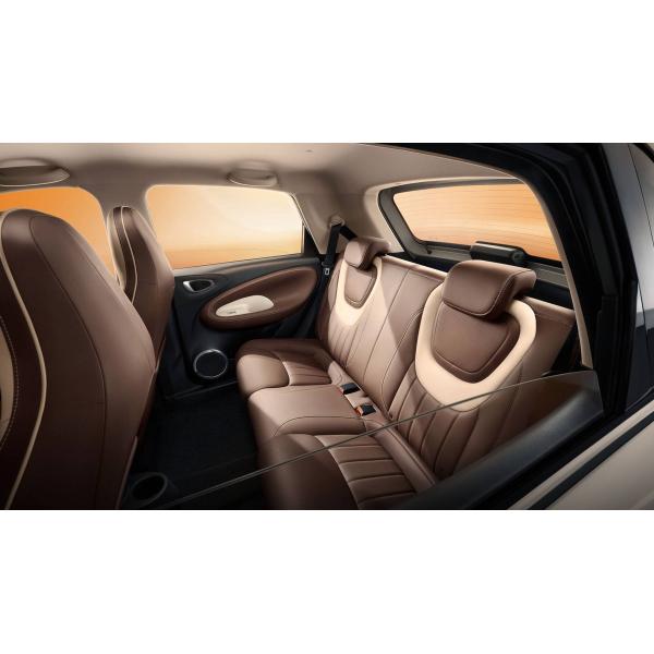 5-door 4-seat Body Structure Wuling Bin Go Mini Vehicles Auto Cars with Lithium Battery