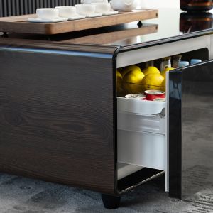 Living Room Furniture 2024 Wood Grain Boiling Table Refrigerator with Wireless