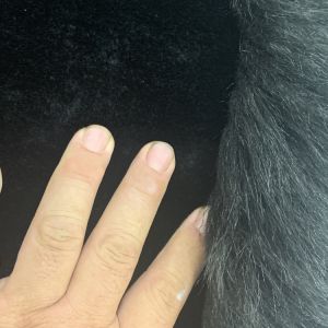 30KG Faux Sheepskin Cushion Pads For Chair Dyed Pattern Custom