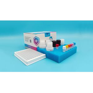 Furaltadone (AMOZ) ELISA Test Kit For Detection Honey Shrimp / Meat / Hepar