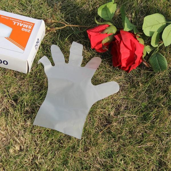 Eco Friendly Translucent Disposable TPE Gloves