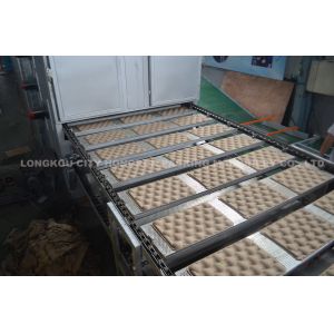 Pulp Molding Machine Apply Tray Making Machine 2000pcs/h - 3000pcs/h