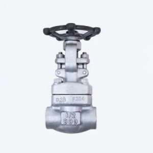 Excellent Customized Cast Iron High Temperature Release Valve for Extreme