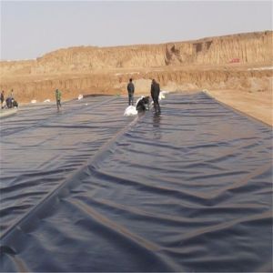 Landfills Made Eco-Friendly HDPE Geomembrane for Fish Shrimp Farms and Swimming
