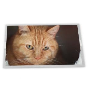 Cheap 7.0-Inch WLED TFT LCD Display Module TM070RBH10-00 with 800*480 Resolution Various Applications ODM for LCD Modules for sale