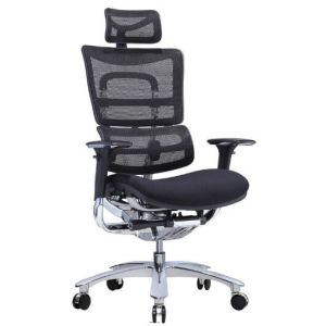 New Design Ergonomic Mesh Chair with Footrest