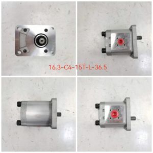 High Quality Hydraulic Gear Pump 16.3-C4-15T-L-36.5 Pump Iron and Aluminum alloy