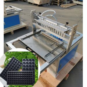Hydroponic Sponge Seed Planter Line for Seeding Cucumbers and Squash Automatical