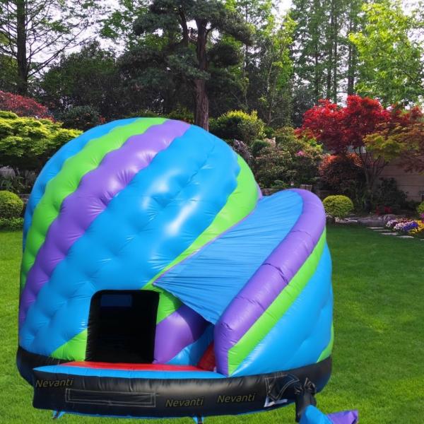Commercial Inflatable Bouncy Castle with Customized Size and Bluey Bounce House