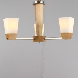 2014 August NEW oak wood ceiling lamp pendant lamp 1 lamp two usage 3/5/8 heads