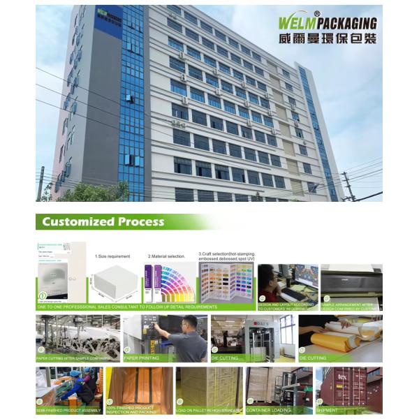 Customized Biodegradable Blind Box Gift Paper Cup for Boba Milk Tea with Lid