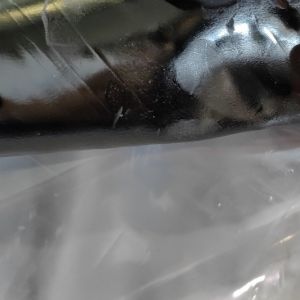 Cheap 15m 20m Length Self Adhesive Tape High Polymer Waterproof Membrane for sale