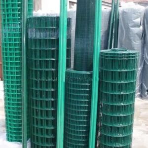 PVC Coated Welded Wire Mesh Roll with 2X2 Weave Style and Electro Galvanized