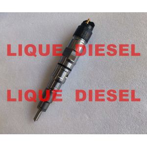 China BOSCH fuel injector 0445120290 Common Rail Injector 0445120290 0 445 120 290 445120290 on sale