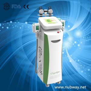 China Vertical amazing result cryolipolysis cryotherapy fat freeze to losing weight on sale