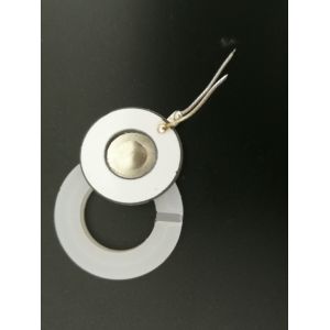 Lead Free Piezoelectric Ceramic Disc Mesh Atomizer Microporous PZT Disk