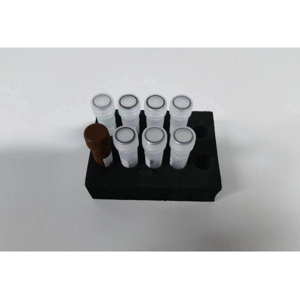 Quality 45 Min Standard Taq DNA Polymerase PCR Reagent  Endo / Exonuclease Activity Tested Storage At 2-8.C wholesale