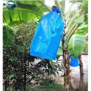 Perforated Polyethylene Plastic Banana Protection Bag Banana Bunch Cover