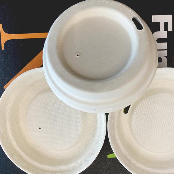 100% Biodegradable Sugarcane Pulp Disposable Cups With Lids