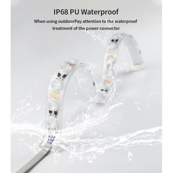 DC12V 24V Waterproof IP68 PU Neon Flex Swimming Pool Silicone Dimming LED Strip Lights