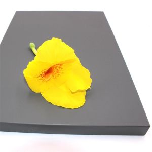 Soft Touch PET Laminated MDF Panels