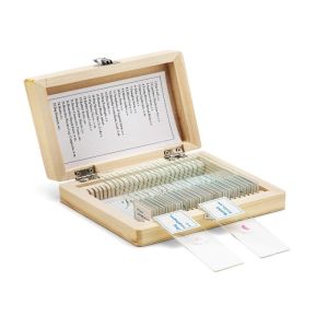 Glass Medical Education 60pcs Microscope Tissue Slides For College