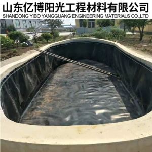 Direct Supply of 0.5mm Geomembranes for Fish Pond Liners Waterproof HDPE