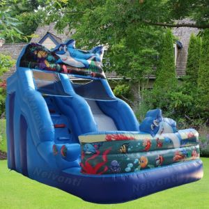 Outdoor Inflatable Water Slide for Children and Adults Accommodates 5-10